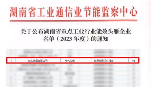 喜讯|威胜集团上榜湖南省能效“头雁”企业名单