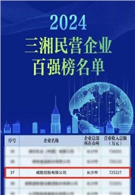 喜讯｜威胜控股上榜2024三湘民营企业百强榜单，，排名第37位